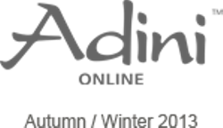logo of Adini Online