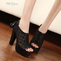 60% Off For Lace Chunky Heels Prom Shoes.