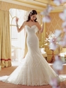 Extra 10% OFF on Lace and Tulle Mermaid Lace-up Chapel Train Wedding Dress.