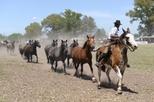Save 10%: Gaucho Day Trip from Buenos Aires: Don Silvano Ranch!