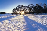 Save 10%: Snow Day Trip to Lake Mountain and Steavenson Waterfalls from Melbourne