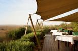 Save 10% Off Conservation Drive With Refreshments at Al Maha Desert Resort and Transport from Dubai
