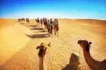 Save 10% Off Luxury Desert Experience: Camel Safari with Dinner and Emirati Activities with Transport from Dubai