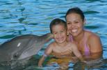 Save 23% Off Blue Lagoon Island Dolphin Encounter from Nassau