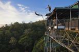 Save 20% Off Cairns Bungy Jump and Minjin Swing