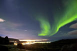Save 15% Off Iceland Super Saver: Northern Lights Cruise plus Whale-Watching Tour from Reykjavik