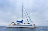 Galapagos Islands Cruise: 5-Day Catamaran Sail Aboard the 'Nemo I' From $1,924.99