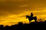 Save 10% Off Wild West Sunset Horseback Ride with Dinner