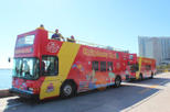 Save 10% Off City Sightseeing Miami Hop-On Hop-Off Tour