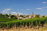 Save 9%! Bordeaux Super Saver: Médoc Wine Tour and Lunch plus St-Emilion or Graves