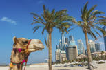 Save 10%! Dubai Super Saver: City Sightseeing Tour and Desert Safari