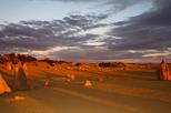 Save 15%! Pinnacles Desert, New Norcia and Wildflowers Day Tour from Perth
