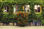 Save 10%! Private Tour: Copenhagen City Bike Tour