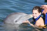 Save 9%! Dolphin Encounter in Los Cabos