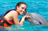 Save 9%! Puerto Aventuras Dolphin Swim