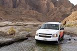 Save 10%: Hatta Heritage Village and UAE Desert Tour by 4x4 from Dubai