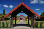 Save 10%! Full-Day Rotorua Shore Excursion Including Te Puia and Hells Gate Thermal Beds