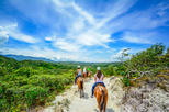 Vida Aventura Park in Guanacaste: Zipline Tour, Horseback Ride and Hot Springs From $74.99