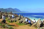 Save 10%! 6-Day Fully Guided Garden Route Tour from Cape Town