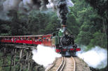 Save 20%! Puffing Billy Steam Train, Yarra Valley and Healesville Wildlife Sanctuary Day Tour